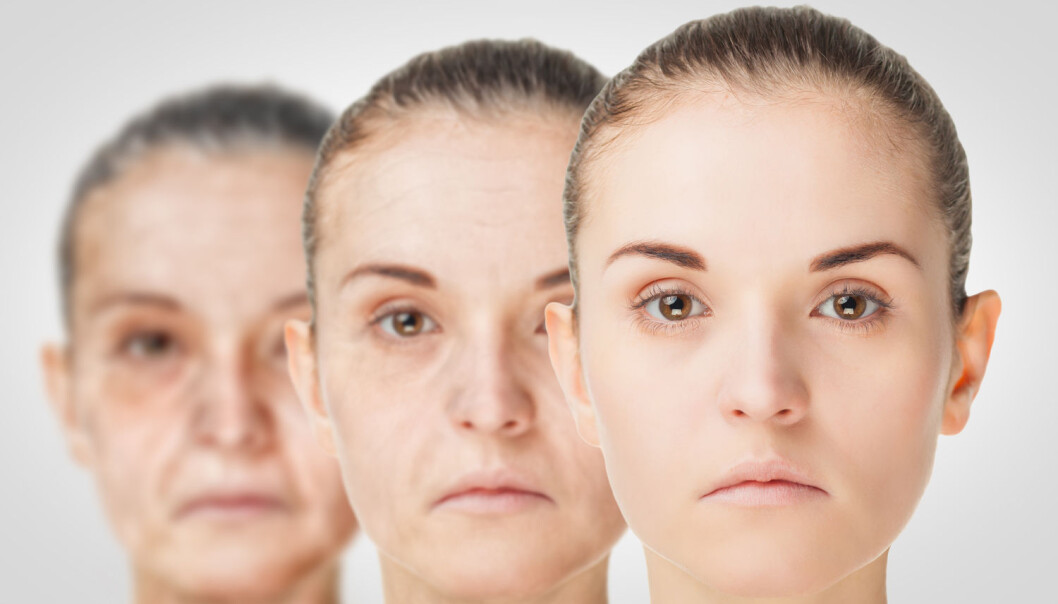 Forskere må helt ned på cellenivå for å forstå prosessene som gjør at vi blir gamle. Først da kan de starte å finne løsninger på aldringsprosessen. (Foto: Shutterstock / NTB Scanpix) Forskere må helt ned på cellenivå for å forstå prosessene som gjør at vi blir gamle. Først da kan de starte å finne løsninger på aldringsprosessen. (Foto: Shutterstock / NTB Scanpix)