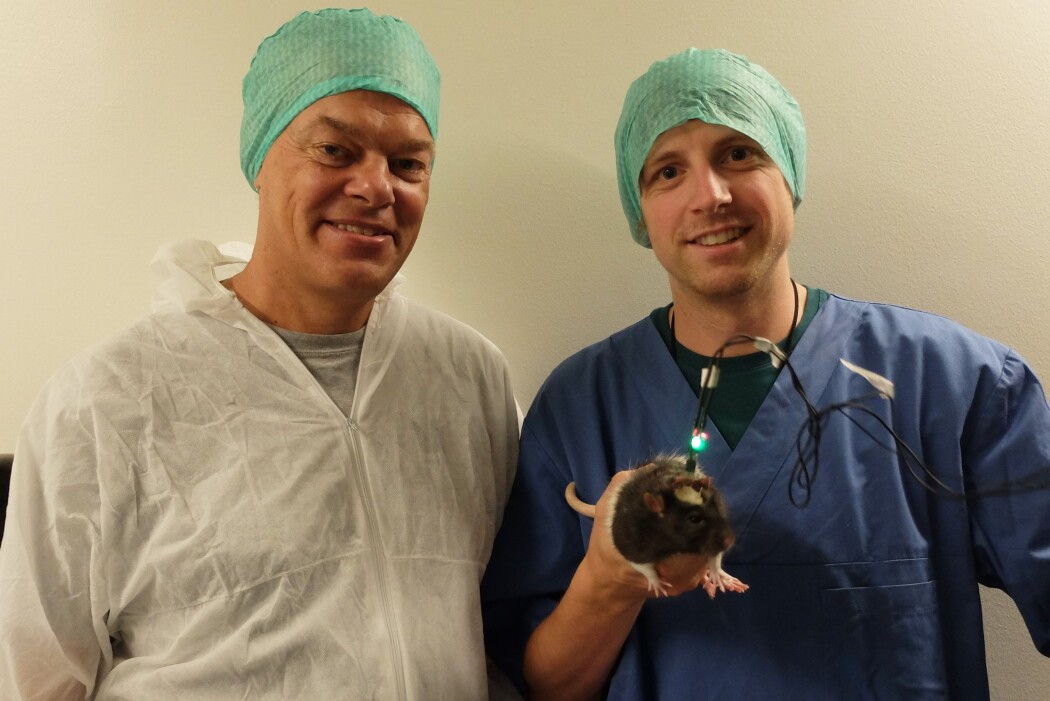Edvard Moser og Jørgen Sugar i laboratoriet på Kavli Institute for Systems Neuroscience. Fra celler i hjernen har de funnet signaler som setter en tidskode på minnene våre. (Foto: Eivind Torgersen) Edvard Moser og Jørgen Sugar i laboratoriet på Kavli Institute for Systems Neuroscience. Fra celler i hjernen har de funnet signaler som setter en tidskode på minnene våre. (Foto: Eivind Torgersen)
