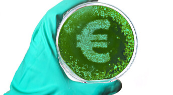 Kan bakterier brukes til å forutsi den neste finanskrisen?