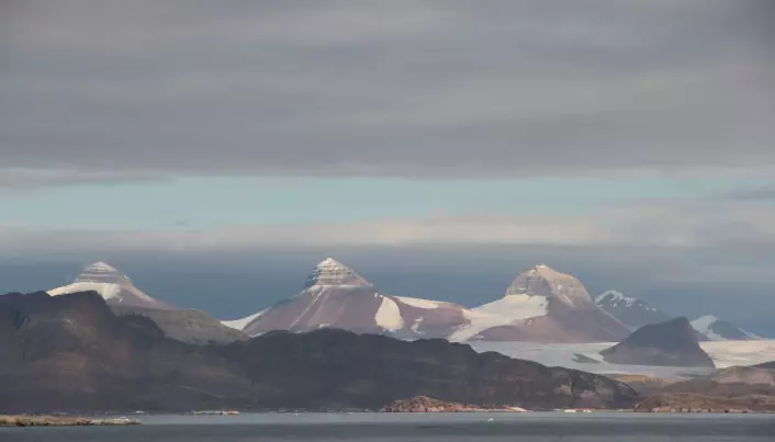 «De tre kroner», Nora, Svea og Dana, skuer utover Kongsfjorden på Svalbard og lurer sikkert på hva folket om bord på dette skipet, «G.O. Sars», egentlig holder på med der de senker all mulig slags utstyr ned i havet før de flytter seg et hakk og gjentar det hele atter igjen. (Foto: Lilja R. Bjarnadóttir)