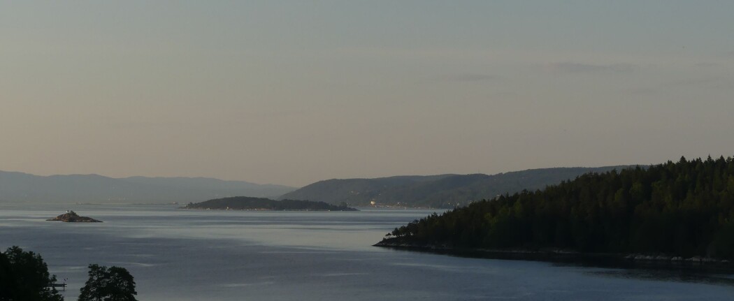 Utsikt over nordlige del av Oslofjorden. De bratte sidene langs Nesoddlandet og de store øyene Gråøya (i forgrunn) og Langåra er landskapsformer dannet etter forkastningssonene. (Foto: Ane K. Engvik) Utsikt over nordlige del av Oslofjorden. De bratte sidene langs Nesoddlandet og de store øyene Gråøya (i forgrunn) og Langåra er landskapsformer dannet etter forkastningssonene. (Foto: Ane K. Engvik)