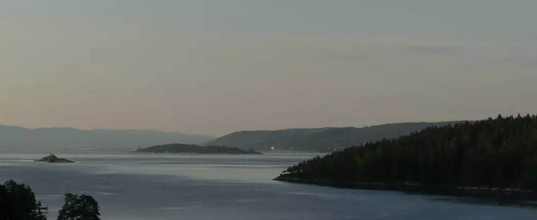Utsikt over nordlige del av Oslofjorden. De bratte sidene langs Nesoddlandet og de store øyene Gråøya (i forgrunn) og Langåra er landskapsformer dannet etter forkastningssonene. (Foto: Ane K. Engvik)