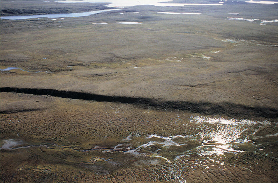 Stuoragurra-forkastningen i Masi er åtte mil lang og opptrer som en opptil sju meter høy, markert skrent i det flate landskapet på Finnmarksvidda. (Foto: Odleiv Olesen).