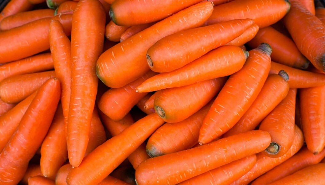 I fjor ble det solgt nærmere 14 kilo gulrot per person her til lands. (Foto: Tim UR, Shutterstock, NTB scanpix) I fjor ble det solgt nærmere 14 kilo gulrot per person her til lands. (Foto: Tim UR, Shutterstock, NTB scanpix)