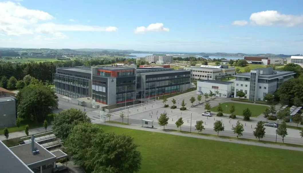 Universitetet i Stavanger ber studenter tenke seg om før de forteller media om trakassering