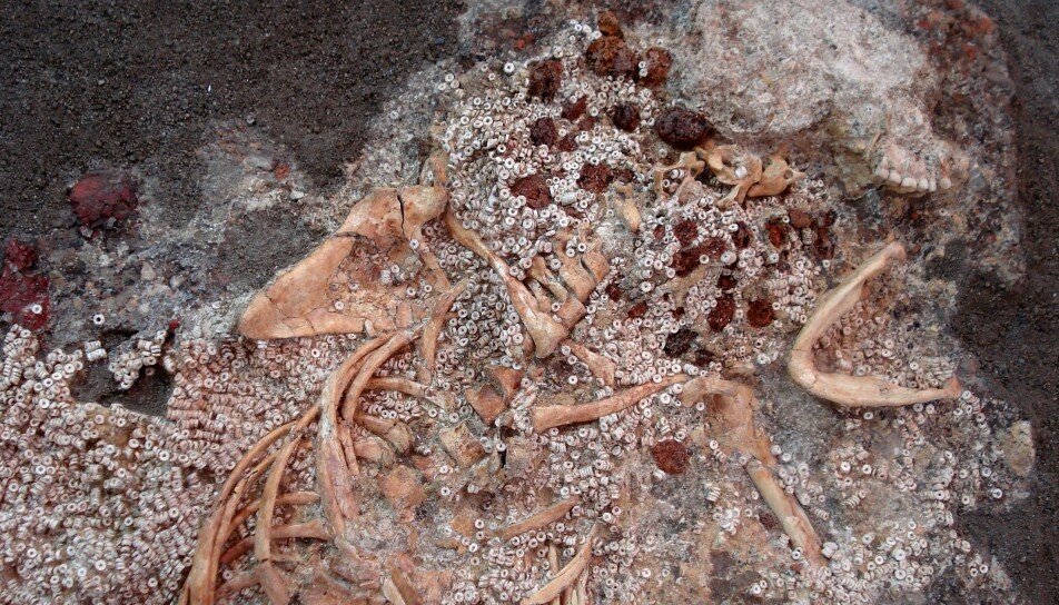 Dette er knoklene av en iberisk kvinne som levde for over 5000 år siden, som hadde på seg en kjole av skjell- og ravperler. Hun ble funnet i et hulesystem som kalles Montelirio i Sør-Spania, og noe av raven kommer sannsynligvis fra Sicilia. (Bilde: Murillo-Barroso et al.)
