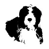 Hvordan Ta Vare P En Hund Royal Canin Royal Canin