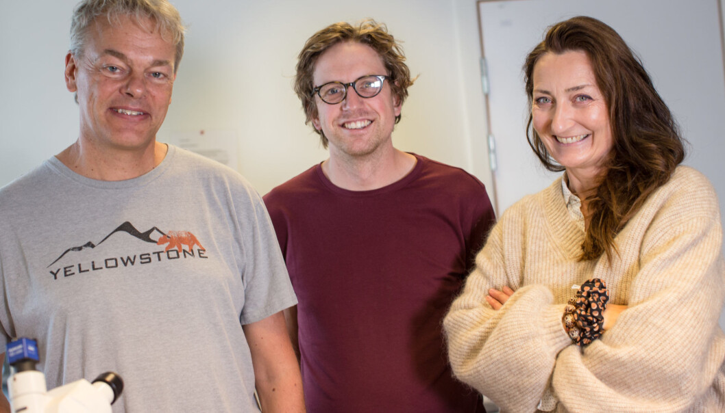 Edvard Moser, Jørgen Sugar og May-Britt Moser har oppdaget hvordan rottehjerner oppfatter tid. De har ikke løst Alzheimergåten. (Foto: Erlend Lånke Solbu, NRK) Edvard Moser, Jørgen Sugar og May-Britt Moser har oppdaget hvordan rottehjerner oppfatter tid. De har ikke løst Alzheimergåten. (Foto: Erlend Lånke Solbu, NRK)