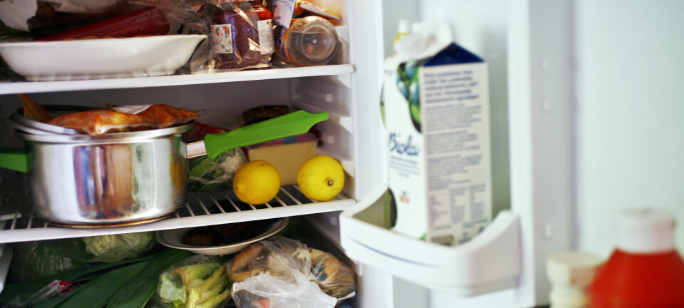 Mye av det vi har i kjøleskapet ender opp i søpla. Forskere forsøker å finne måter å unngå at maten blir søppel.  (Foto: Shutterstock / NTB scanpix)
