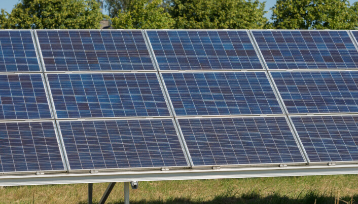 De beste solcellene som finnes i dag, er allerede mye flinkere enn plantene når det gjelder å fange solenergi. (Foto: Colourbox) De beste solcellene som finnes i dag, er allerede mye flinkere enn plantene når det gjelder å fange solenergi. (Foto: Colourbox)