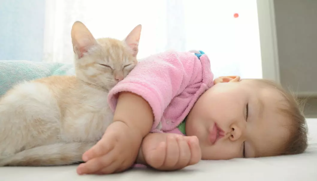 Katt i hjemmet påvirker genene våre – beskytter nyfødte barn mot astma