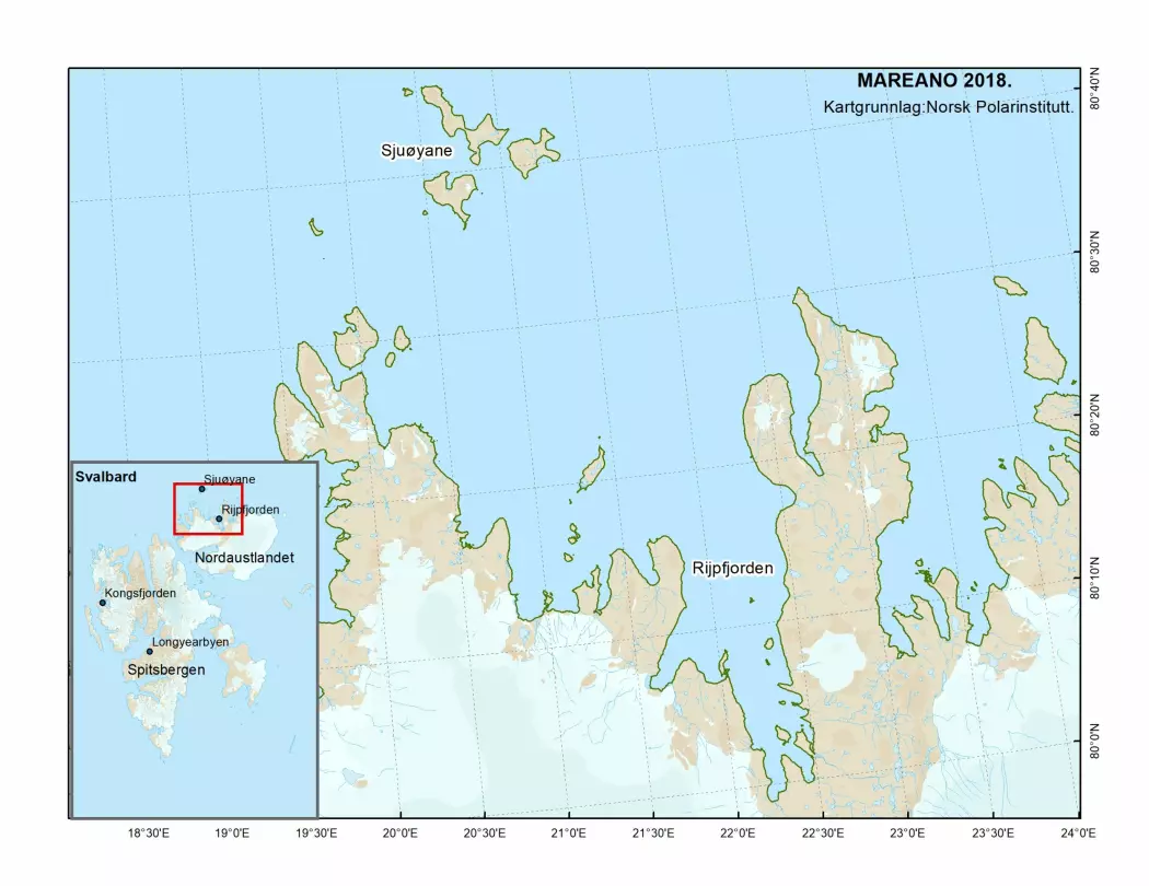 Kartet viser Rijpfjorden på Svalbard.
