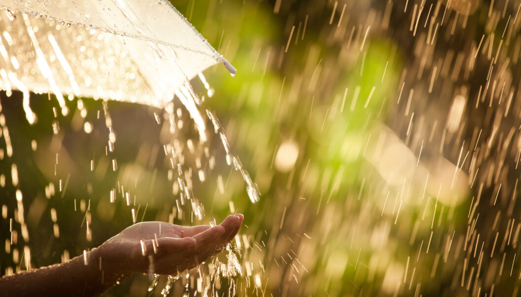 Regndråper blir sjelden større enn en halv centimeter. Større dråper ødelegges av luftmotstanden. (Foto: A3pfamily / Shutterstock / NTB scanpix) Regndråper blir sjelden større enn en halv centimeter. Større dråper ødelegges av luftmotstanden. (Foto: A3pfamily / Shutterstock / NTB scanpix)