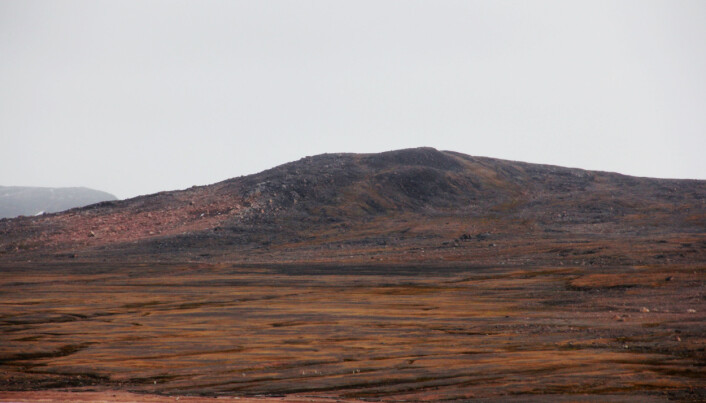 Reinsflokk på land – kan de sjå dei? (Foto: Lilja R. Bjarnadóttir, NGU) Reinsflokk på land – kan de sjå dei? (Foto: Lilja R. Bjarnadóttir, NGU)