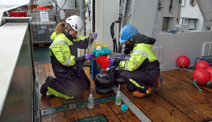 Under toktet ble det tatt en rekke prøver som etterpå ble sortert og nå skal analyseres. (Foto: Espen Bagøien / Havforskningsinstituttet) Under toktet ble det tatt en rekke prøver som etterpå ble sortert og nå skal analyseres. (Foto: Espen Bagøien / Havforskningsinstituttet)