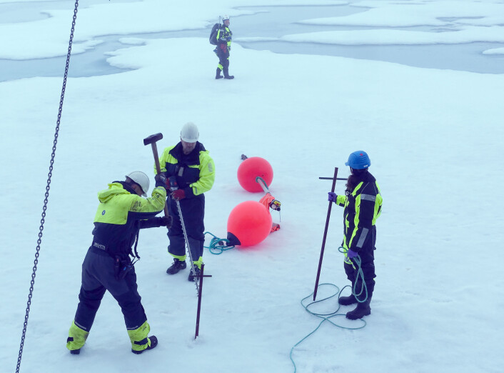 Under toktet ble det tatt en rekke prøver som etterpå ble sortert og nå skal analyseres.
(Foto: Espen Bagøien / Havforskningsinstituttet) Under toktet ble det tatt en rekke prøver som etterpå ble sortert og nå skal analyseres.
(Foto: Espen Bagøien / Havforskningsinstituttet)
