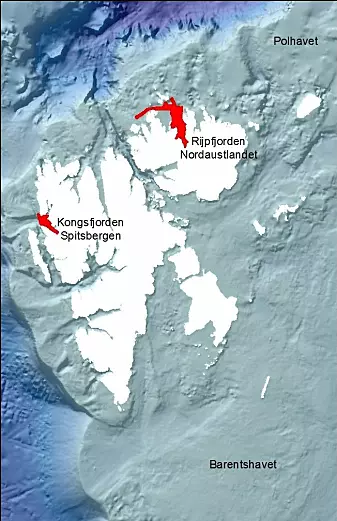 Prøvene på dette toktet samles i Kongsfjorden og Rijpfjorden på Svalbard.