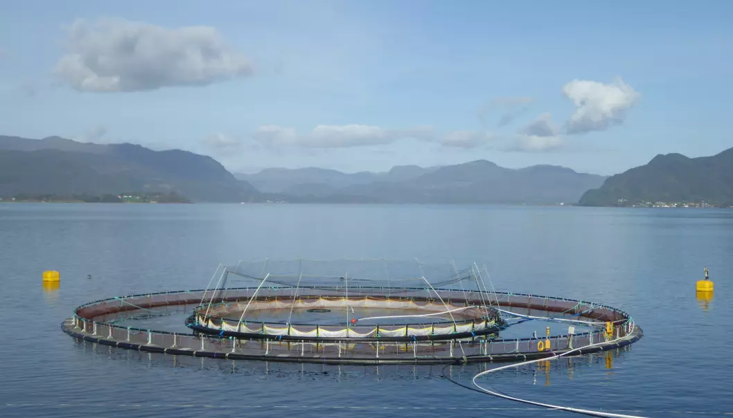 Ny teknologi vil gjøre norsk fiskeoppdrett mer bærekraftig