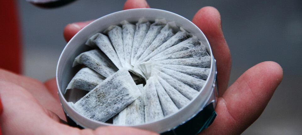 Oslo tingrett slo fast at Folkehelseinstituttets rapport om snus i 2014, ga et ufullstendig eller skjevt bilde av forskningen på kreftrisiko av snus.  (Foto: Microstock)