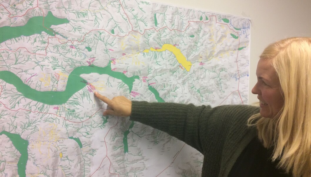 Forskar Torunn Hønsi peikar på funnstadene for miljøgifter i bygda Innvik i Stryn kommune. Hadde ekstremnedbøren som råka Utvik i juli 2017 treft berre nokre kilometer lengre aust, kunne flaumen lett ha ført gamle miljøgifter frå heile sju stader ut i fjorden. (Foto: Idun A. Husabø) Forskar Torunn Hønsi peikar på funnstadene for miljøgifter i bygda Innvik i Stryn kommune. Hadde ekstremnedbøren som råka Utvik i juli 2017 treft berre nokre kilometer lengre aust, kunne flaumen lett ha ført gamle miljøgifter frå heile sju stader ut i fjorden. (Foto: Idun A. Husabø)
