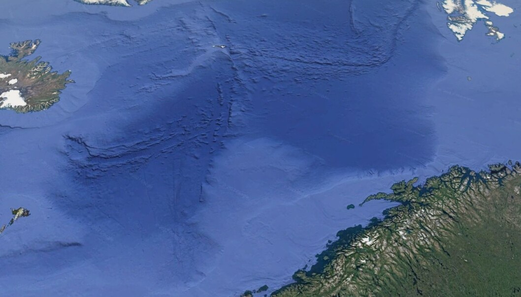 Her kan vi se kontinentalsokkelen i lyseblå på begge sider av Norskehavet og Grønlandshavet. Nå kan forskere beskrive nesten nøyaktig hvordan kontinentene ble revet fra hverandre. (Illustrasjon: Google Earth) Her kan vi se kontinentalsokkelen i lyseblå på begge sider av Norskehavet og Grønlandshavet. Nå kan forskere beskrive nesten nøyaktig hvordan kontinentene ble revet fra hverandre. (Illustrasjon: Google Earth)