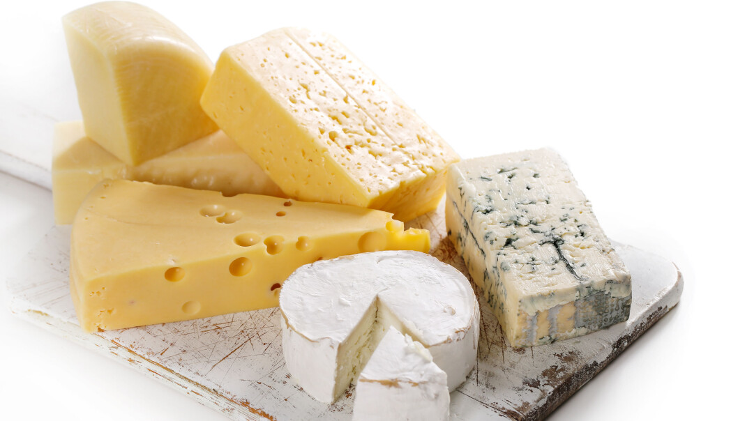Gulost, gamalost og blåmuggost er kilder til vitamin K. Det er bakterier som syrner ostene og som samtidig produserer vitaminet. (Foto: Colourbox) Gulost, gamalost og blåmuggost er kilder til vitamin K. Det er bakterier som syrner ostene og som samtidig produserer vitaminet. (Foto: Colourbox)