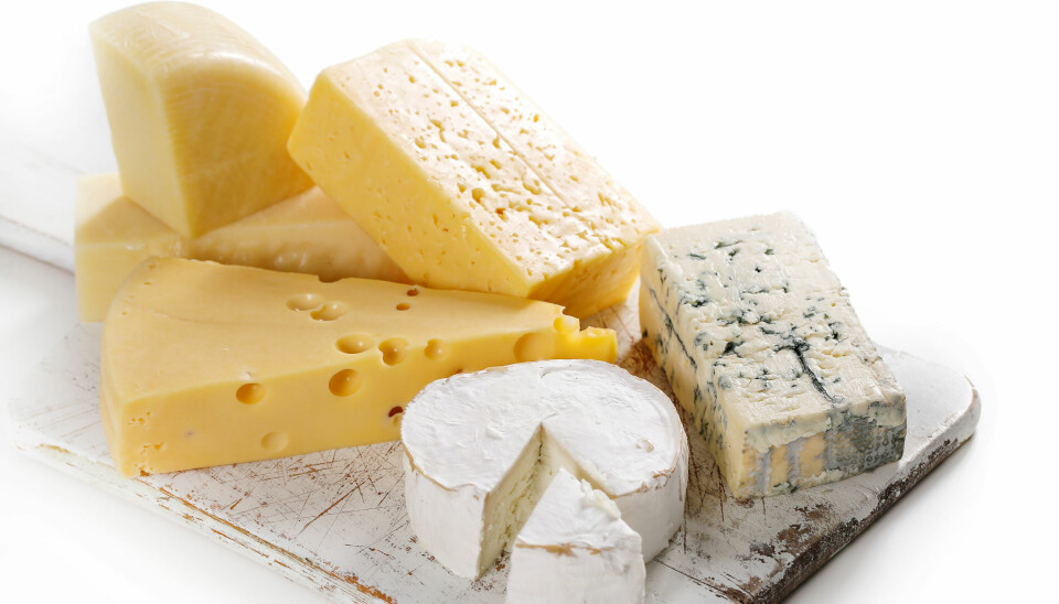 Gulost, gamalost og blåmuggost er kilder til vitamin K. Det er bakterier som syrner ostene og som samtidig produserer vitaminet. (Foto: Colourbox)
