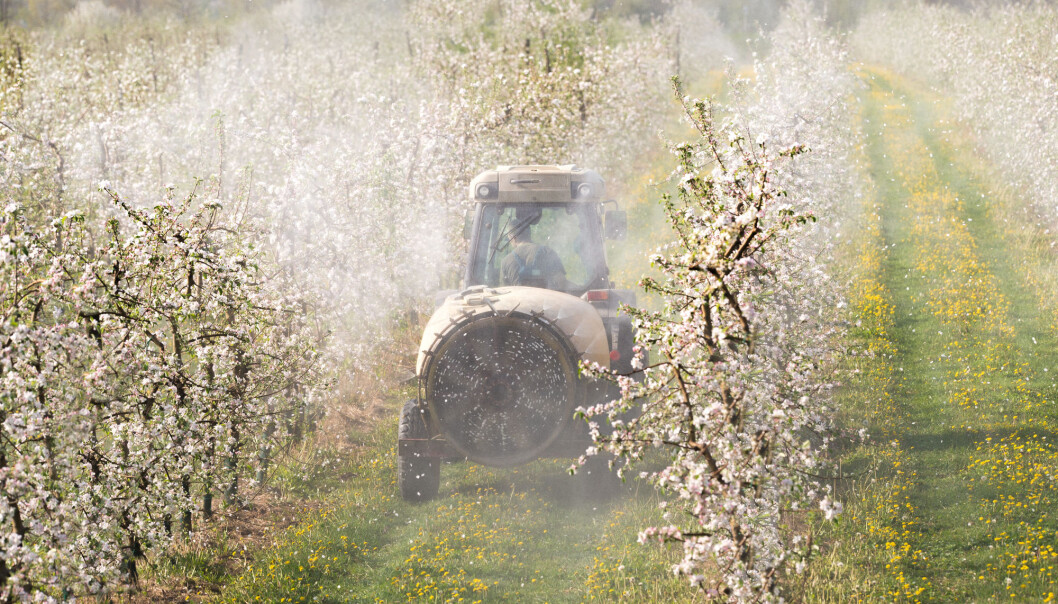 Vi kan få i oss rester av mange ulike sprøytemidler igjennom maten. Har det noe å si for helsa? (Foto: Fotokostic / Shutterstock / NTB scanpix) Vi kan få i oss rester av mange ulike sprøytemidler igjennom maten. Har det noe å si for helsa? (Foto: Fotokostic / Shutterstock / NTB scanpix)