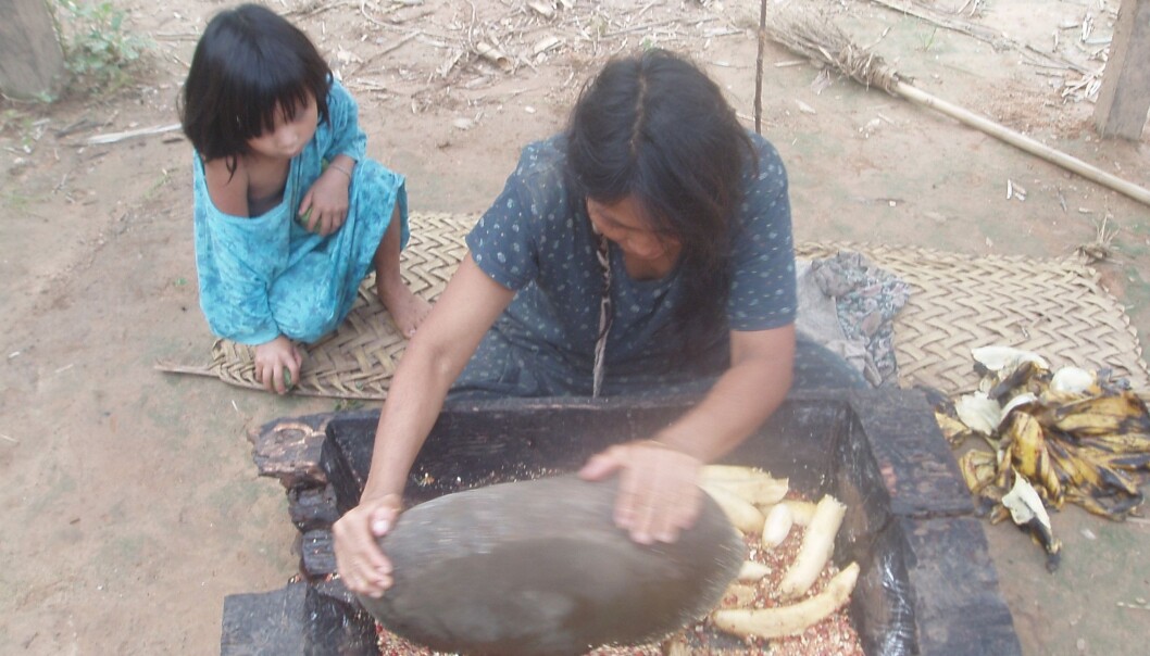 Tsimane-folket i Bolivia snakker i liten grad direkte til de minste barna. Barna lærer seg likevel å snakke. Kan de utvikle et godt språk ved å følge med på andre, undrer forskerne. (Foto: Jonathan Stieglitz) Tsimane-folket i Bolivia snakker i liten grad direkte til de minste barna. Barna lærer seg likevel å snakke. Kan de utvikle et godt språk ved å følge med på andre, undrer forskerne. (Foto: Jonathan Stieglitz)