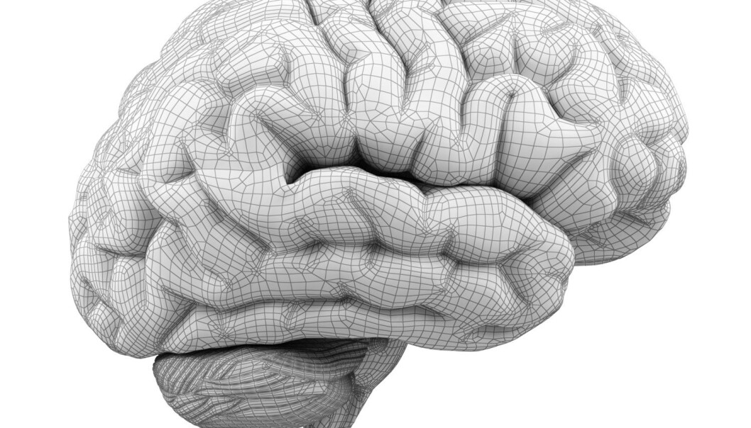 Forskernes hypotese var at de som fikk mer arbeidsminne også fikk bedre såkalt flytende intelligens. (Illustrasjon: anna-nt/Shutterstock/NTB scanpix) Forskernes hypotese var at de som fikk mer arbeidsminne også fikk bedre såkalt flytende intelligens. (Illustrasjon: anna-nt/Shutterstock/NTB scanpix)