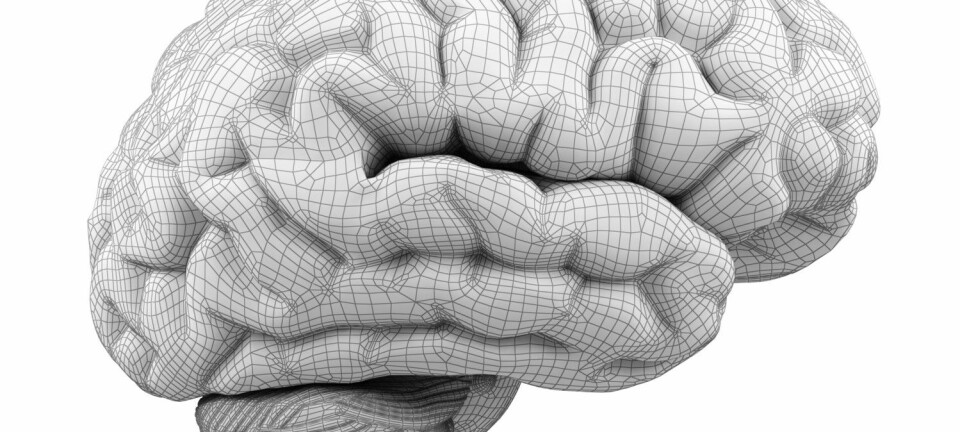 Forskernes hypotese var at de som fikk mer arbeidsminne også fikk bedre såkalt flytende intelligens. (Illustrasjon: anna-nt/Shutterstock/NTB scanpix)