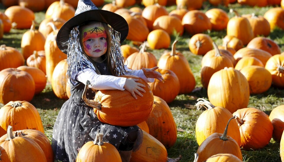 Ikke lenge etter at de første amerikanerne tok med seg Halloween til Norge, begynte massiv markedsføring av dagen i hele Europa. Her er lille Maisy Thompson fra som har kledd seg ut som heks i Woking sør i Storbritannia. (Foto: Luke MacGregor, Reuters, NTB scanpix)
