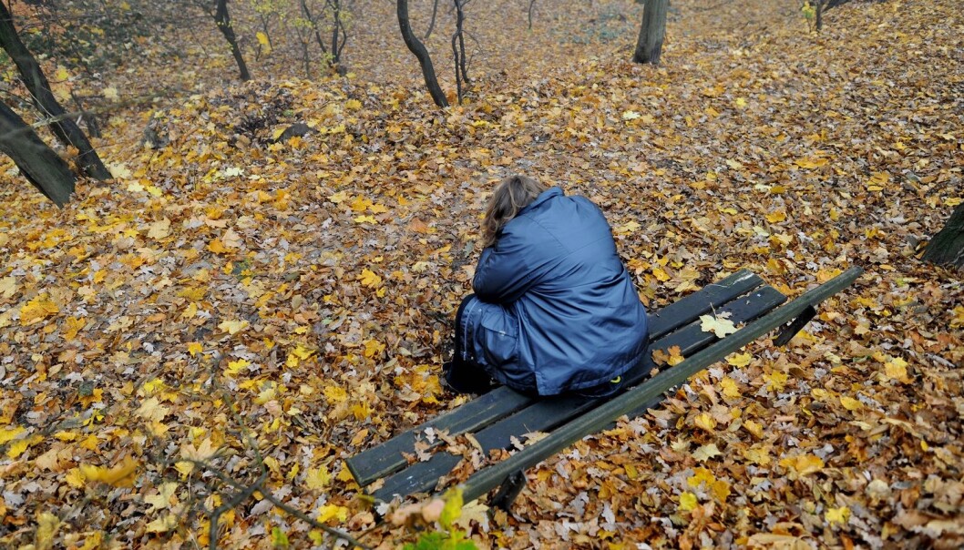En ny studie har funnet forandringer i hjernen etter at deprimerte deltakerne fikk en dose psilocybin, virkestoffet i fleinsopp. - Viktig funn, men dette må ikke brukes til å si noe om effekten som antidepressiva, sier norsk forsker. (Foto: NTB scanpix) En ny studie har funnet forandringer i hjernen etter at deprimerte deltakerne fikk en dose psilocybin, virkestoffet i fleinsopp. - Viktig funn, men dette må ikke brukes til å si noe om effekten som antidepressiva, sier norsk forsker. (Foto: NTB scanpix)