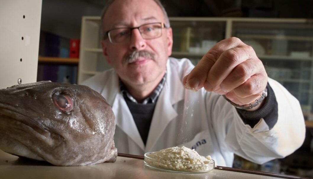 Hoder, rygger og annet fiskeavskjær som i dag brukes til dyrefôr, kan bli mer lønnsomt å bruke som kosttilskudd, om bare man blir kvitt fiskesmaken. Matforskerne er på saken. (Foto: Nofima) Hoder, rygger og annet fiskeavskjær som i dag brukes til dyrefôr, kan bli mer lønnsomt å bruke som kosttilskudd, om bare man blir kvitt fiskesmaken. Matforskerne er på saken. (Foto: Nofima)