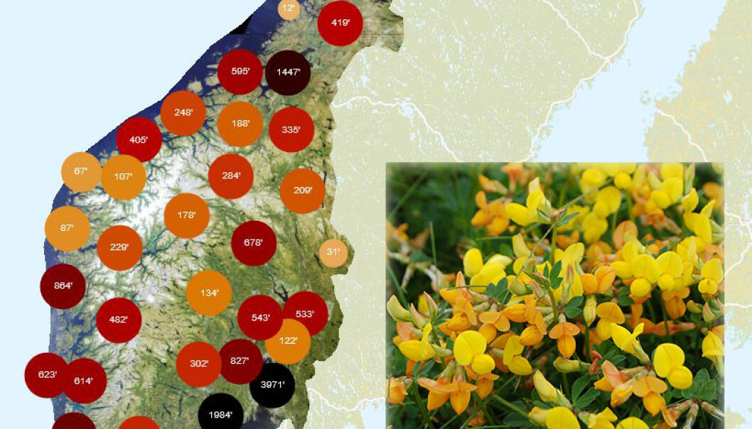 Artskart viser hvor arter er funnet. (Skjermbilde fra Artskart 2.0: Artsdatabanken. Innfelt foto av tiriltunge: Bolette Bele, NIBIO Norsk institutt for bioøkonomi. Lisens CC BY 3.0) Artskart viser hvor arter er funnet. (Skjermbilde fra Artskart 2.0: Artsdatabanken. Innfelt foto av tiriltunge: Bolette Bele, NIBIO Norsk institutt for bioøkonomi. Lisens CC BY 3.0)