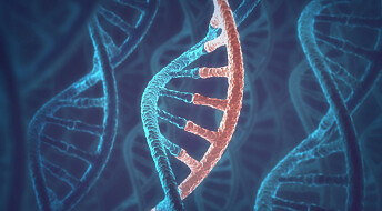 Redigerte bort gen-sykdom uten å endre DNAet