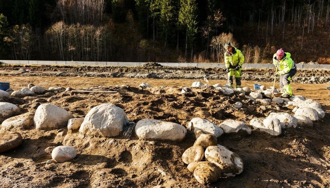 Utgravingene på Sandbrauta har blant annet avdekket denne gravrøysa. (Foto: Julie Gloppe Solem, NTNU) Utgravingene på Sandbrauta har blant annet avdekket denne gravrøysa. (Foto: Julie Gloppe Solem, NTNU)
