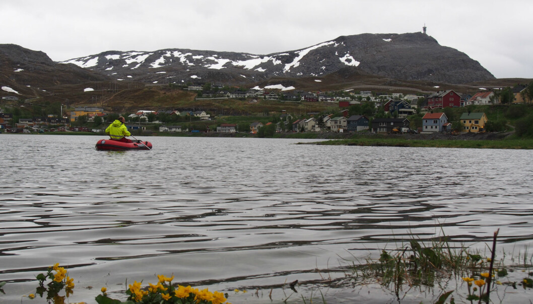 Tidligere har kloakken fra boligene i nærområdet endt opp i Storvannet. Det har ført til at miljøgiften siloksan har lagt seg i bunnen av vannet. Når fisken spiser dyrene som lever på bunnen, får de også i seg giften. (Foto: Ingjerd S. Krogseth/NILU) Tidligere har kloakken fra boligene i nærområdet endt opp i Storvannet. Det har ført til at miljøgiften siloksan har lagt seg i bunnen av vannet. Når fisken spiser dyrene som lever på bunnen, får de også i seg giften. (Foto: Ingjerd S. Krogseth/NILU)