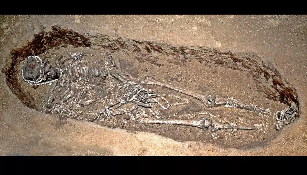 En av de begravde i Russland. Graven er sannsynligvis over 30 000 år gammel, og du kan tydelig se perlene og smykkene som har blitt lagt ned rundt skjelettet.  (foto: José-Manuel Benito Álvarez )