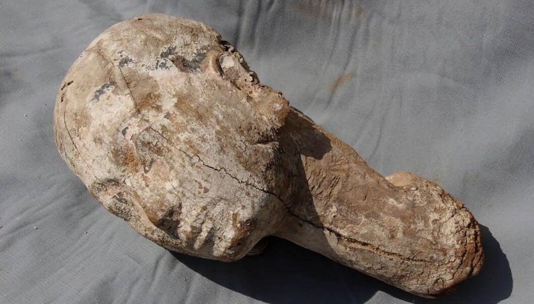 En del av en 4000 år gammel treskulptur ble nylig funnet av arkeologer i Egypt. (Foto: AP, NTB scanpix) En del av en 4000 år gammel treskulptur ble nylig funnet av arkeologer i Egypt. (Foto: AP, NTB scanpix)