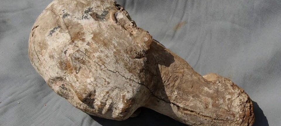 En del av en 4000 år gammel treskulptur ble nylig funnet av arkeologer i Egypt. (Foto: AP, NTB scanpix)