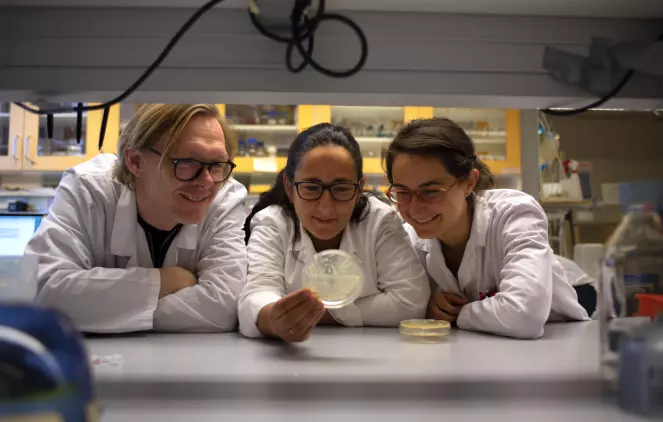 Norske forskere har funnet ny metode i kampen mot resistente bakterier