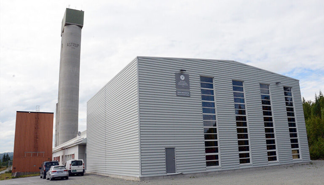 De eldste steinene som ligger lagret her er ufattelige 2975 millioner år gamle. (Foto: Gudmund Løwø, NGU) De eldste steinene som ligger lagret her er ufattelige 2975 millioner år gamle. (Foto: Gudmund Løwø, NGU)