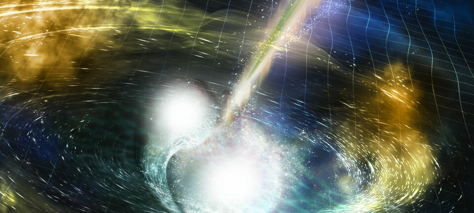 Illustrasjonen forestiller to nøytronstjerner som krasjer sammen. Den voldsomme hendelsen danner bølger i selve tidrommet. Idet stjernene smalter sammen, sendes det ut et glimt av gammastråler. (Illustrasjon: NSF/LIGO/Sonoma State University/A. Simonnet)