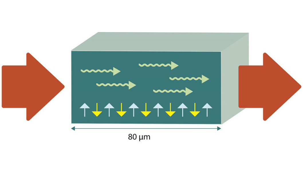Forskere har greid å overføre spinn over 80 mikrometer i en antiferromagnet. Selv om det for mange av oss høres helt uforståelig ut, kan det ha mye å si for hverdagen vår i framtiden. (Illustrasjon: Kolbjørn Skarpnes, NTNU) Forskere har greid å overføre spinn over 80 mikrometer i en antiferromagnet. Selv om det for mange av oss høres helt uforståelig ut, kan det ha mye å si for hverdagen vår i framtiden. (Illustrasjon: Kolbjørn Skarpnes, NTNU)