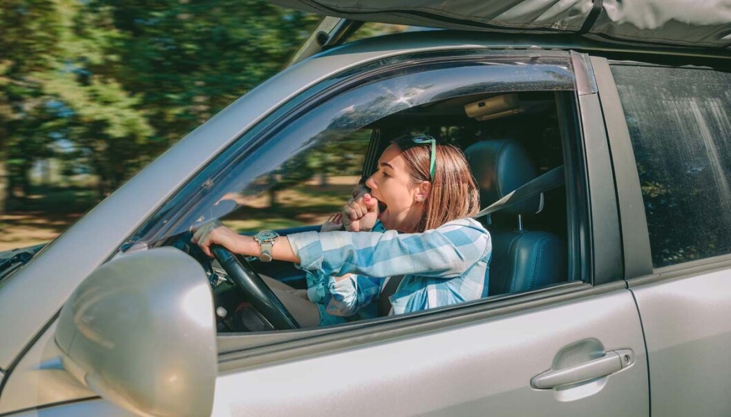 Senere skolestart redder liv – morgentrøtte tenåringer er farlige både bak rattet og til fots i trafikken. (Foto: Shutterstock) Senere skolestart redder liv – morgentrøtte tenåringer er farlige både bak rattet og til fots i trafikken. (Foto: Shutterstock)