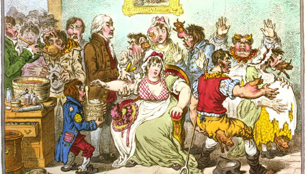 Da Jenner i sin tid lanserte ideen om å gi mennesker sykdom fra kyr, var mottagelsen så som så. På denne vitsetegning fra 1802 tyter små kyr ut av kroppen på de stakkars vaksinerte. (Tegnet av James Gillray) Da Jenner i sin tid lanserte ideen om å gi mennesker sykdom fra kyr, var mottagelsen så som så. På denne vitsetegning fra 1802 tyter små kyr ut av kroppen på de stakkars vaksinerte. (Tegnet av James Gillray)