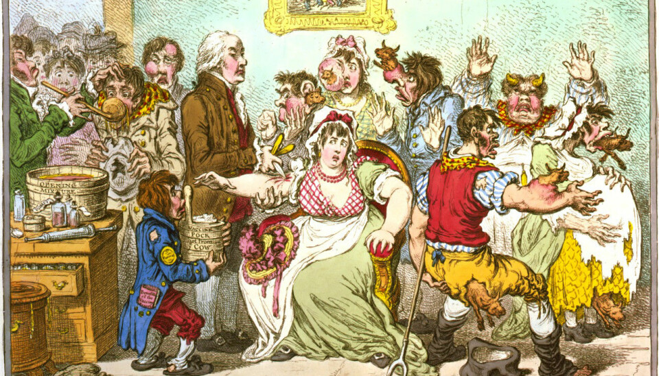 Da Jenner i sin tid lanserte ideen om å gi mennesker sykdom fra kyr, var mottagelsen så som så. På denne vitsetegning fra 1802 tyter små kyr ut av kroppen på de stakkars vaksinerte.  (Tegnet av James Gillray)