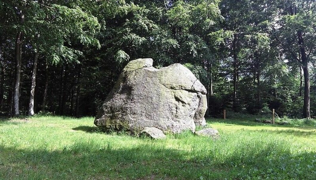 Her ser du Tirslundstenen, som Harald Blåtann ifølge sagnet skulle ha forsøkt å stjele. (Foto: Wikimedia Commons)