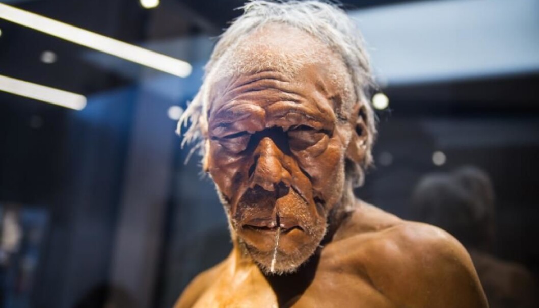 Hvorfor neandertalerne forsvant, blir fortsatt debattert, men en ting er sikkert: DNA viser at de på sitt vis lever videre som en del av oss. (Foto: Shutterstock/Nasjonalhistorisk Museum, Belgia) Hvorfor neandertalerne forsvant, blir fortsatt debattert, men en ting er sikkert: DNA viser at de på sitt vis lever videre som en del av oss. (Foto: Shutterstock/Nasjonalhistorisk Museum, Belgia)